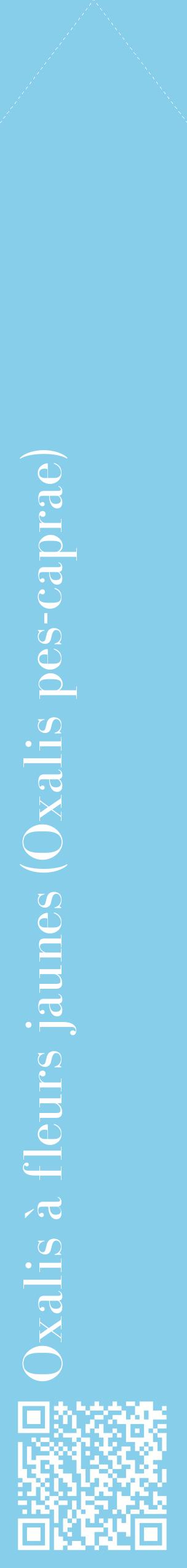 Étiquette de : Oxalis pes-caprae - format c - style blanche1_simplebod avec qrcode et comestibilité