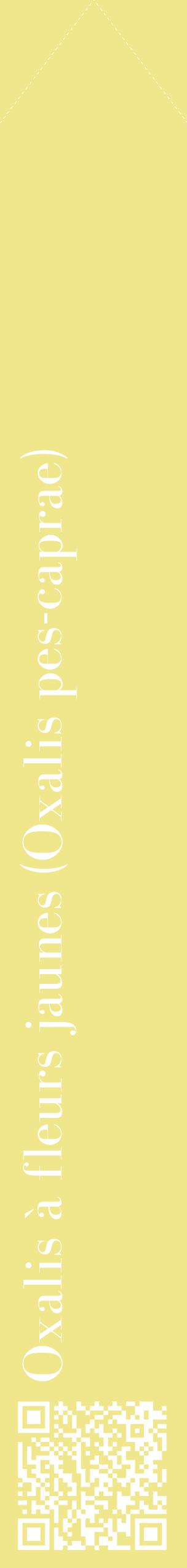 Étiquette de : Oxalis pes-caprae - format c - style blanche20_simplebod avec qrcode et comestibilité