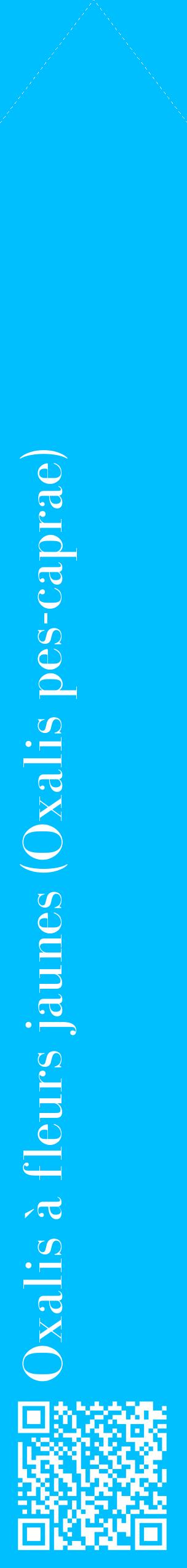 Étiquette de : Oxalis pes-caprae - format c - style blanche2_simplebod avec qrcode et comestibilité
