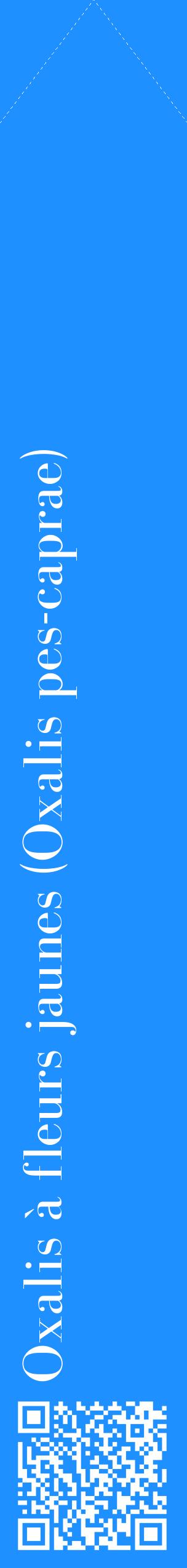 Étiquette de : Oxalis pes-caprae - format c - style blanche3_simplebod avec qrcode et comestibilité
