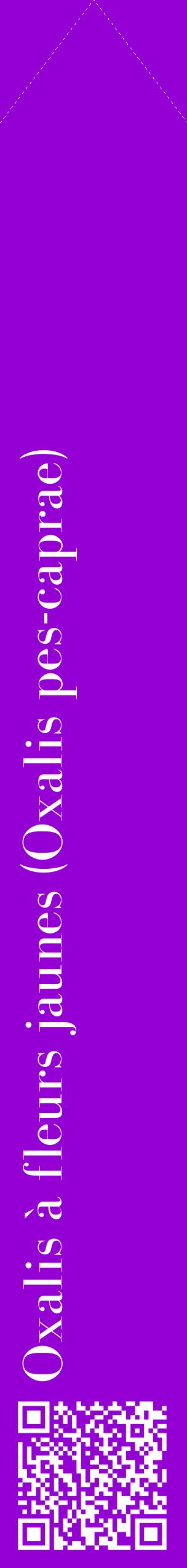 Étiquette de : Oxalis pes-caprae - format c - style blanche48_simplebod avec qrcode et comestibilité