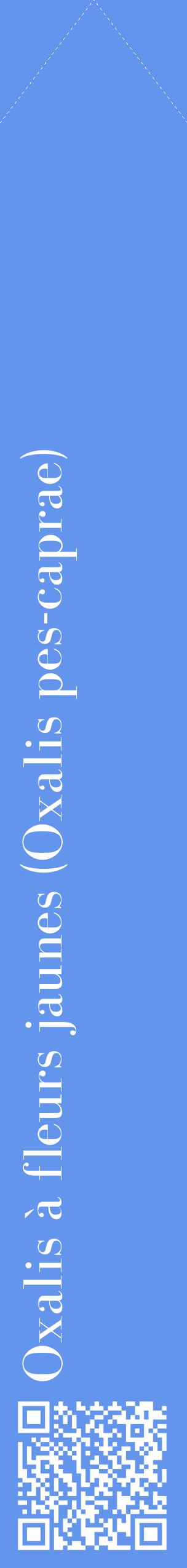 Étiquette de : Oxalis pes-caprae - format c - style blanche4_simplebod avec qrcode et comestibilité