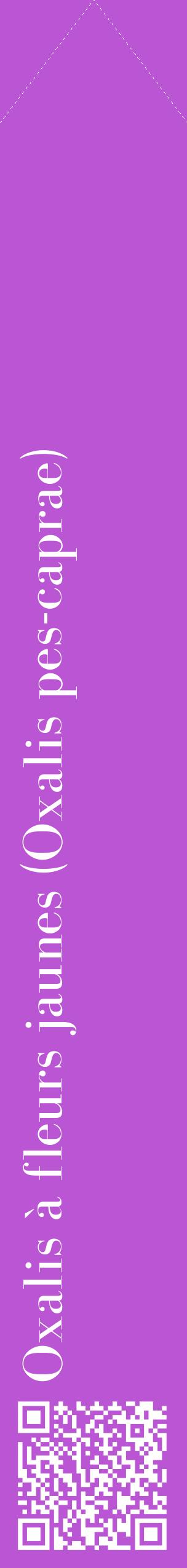 Étiquette de : Oxalis pes-caprae - format c - style blanche50_simplebod avec qrcode et comestibilité