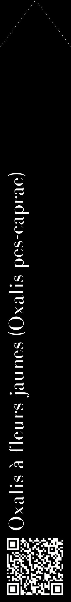Étiquette de : Oxalis pes-caprae - format c - style blanche59_simplebod avec qrcode et comestibilité
