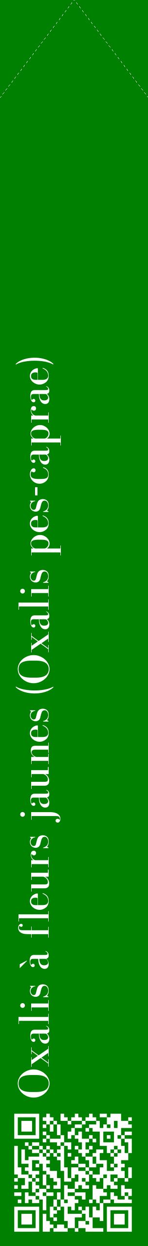 Étiquette de : Oxalis pes-caprae - format c - style blanche9_simplebod avec qrcode et comestibilité