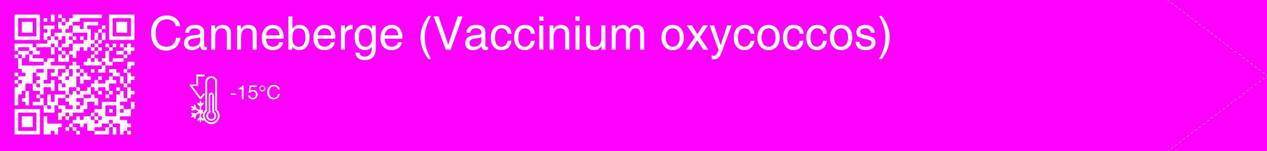 Étiquette de : Vaccinium oxycoccos - format c - style blanche51_simple_simplehel avec qrcode et comestibilité