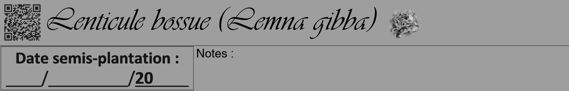 Étiquette de : Lemna gibba - format a - style noire23basiqueviv avec qrcode et comestibilité simplifiée