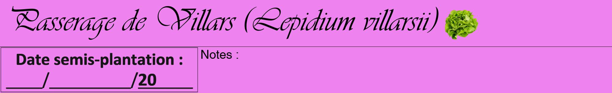 Étiquette de : Lepidium villarsii - format a - style noire53viv avec comestibilité simplifiée