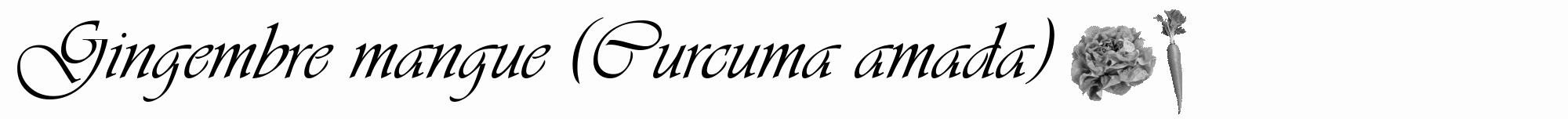 Étiquette de : Curcuma amada - format a - style noire19viv avec comestibilité simplifiée