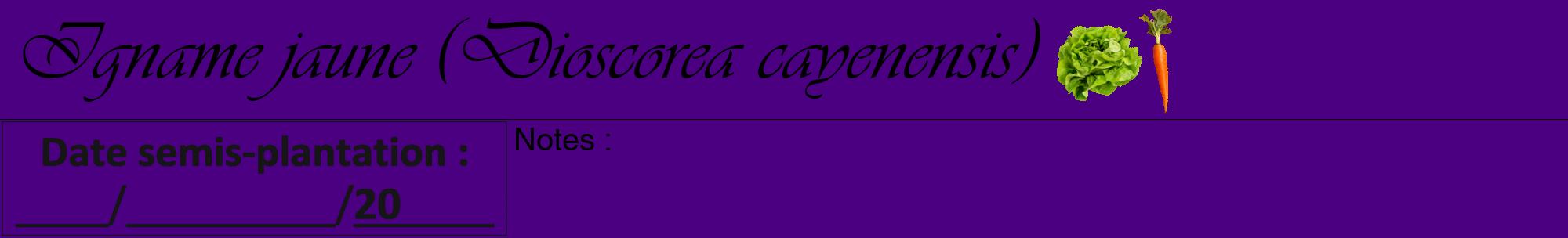 Étiquette de : Dioscorea cayenensis - format a - style noire47viv avec comestibilité simplifiée