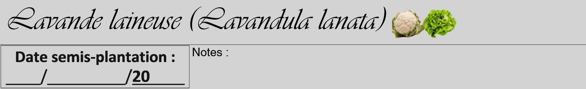 Étiquette de : Lavandula lanata - format a - style noire56viv avec comestibilité simplifiée