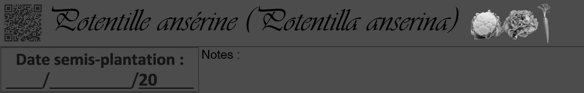 Étiquette de : Potentilla anserina - format a - style noire27basiqueviv avec qrcode et comestibilité simplifiée