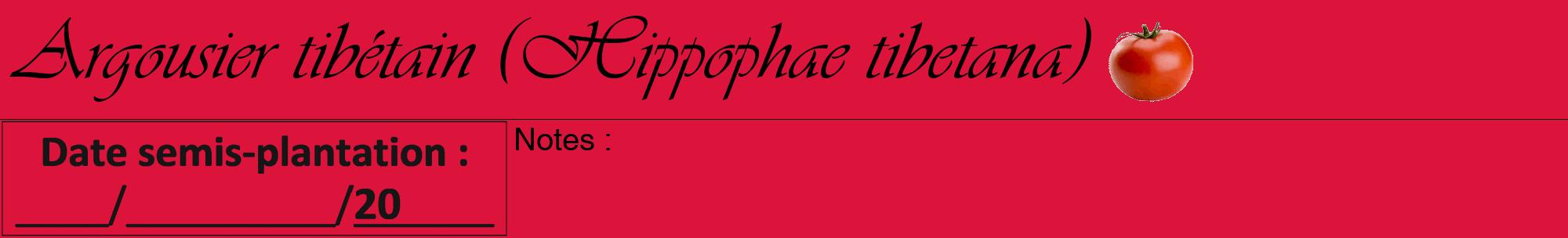 Étiquette de : Hippophae tibetana - format a - style noire36viv avec comestibilité simplifiée