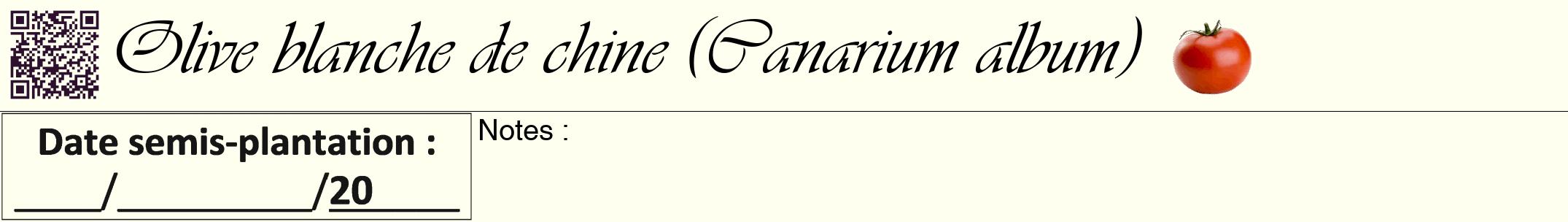 Étiquette de : Canarium album - format a - style noire19viv avec qrcode et comestibilité simplifiée