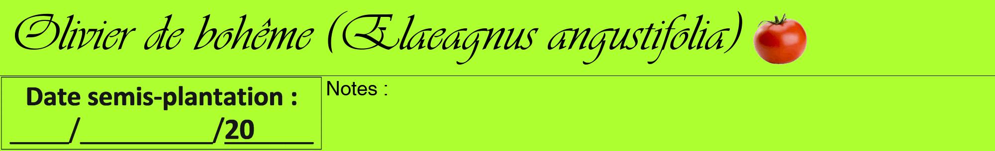 Étiquette de : Elaeagnus angustifolia - format a - style noire17viv avec comestibilité simplifiée