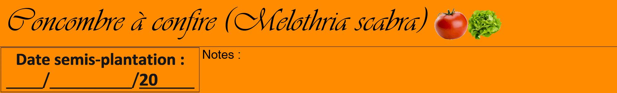 Étiquette de : Melothria scabra - format a - style noire23basiqueviv avec comestibilité simplifiée
