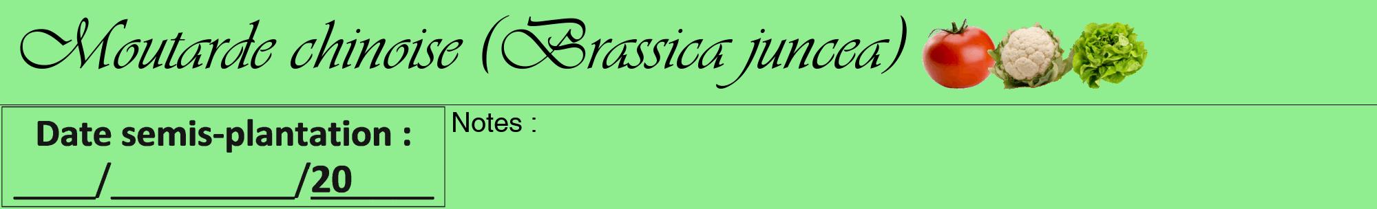 Étiquette de : Brassica juncea - format a - style noire15basiqueviv avec comestibilité simplifiée