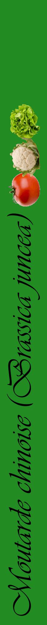 Étiquette de : Brassica juncea - format a - style noire10viv avec comestibilité simplifiée