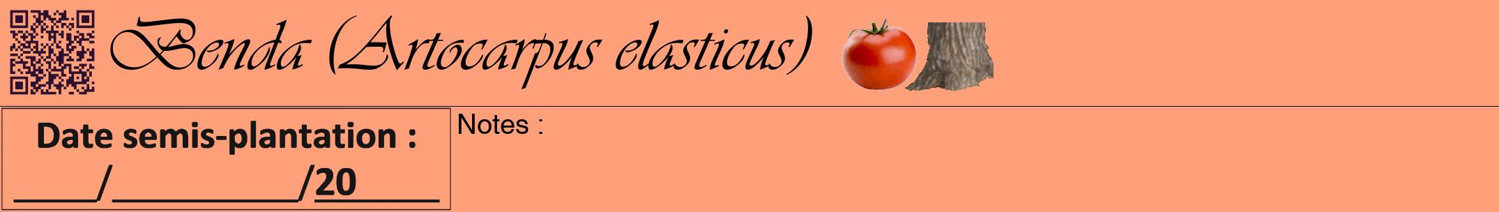 Étiquette de : Artocarpus elasticus - format a - style noire39simpleviv avec qrcode et comestibilité simplifiée
