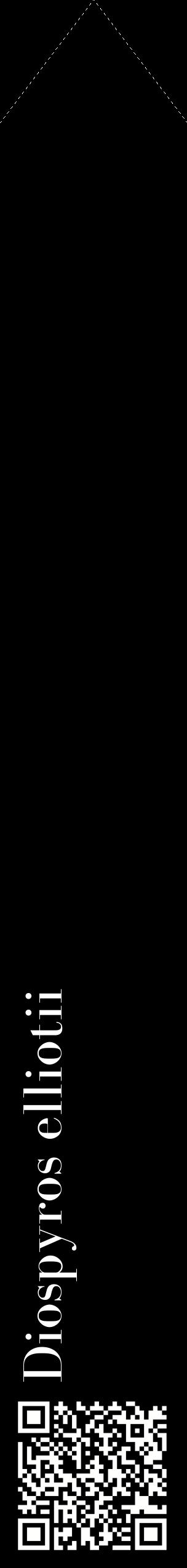 Étiquette de : Diospyros elliotii - format c - style blanche59_simplebod avec qrcode et comestibilité