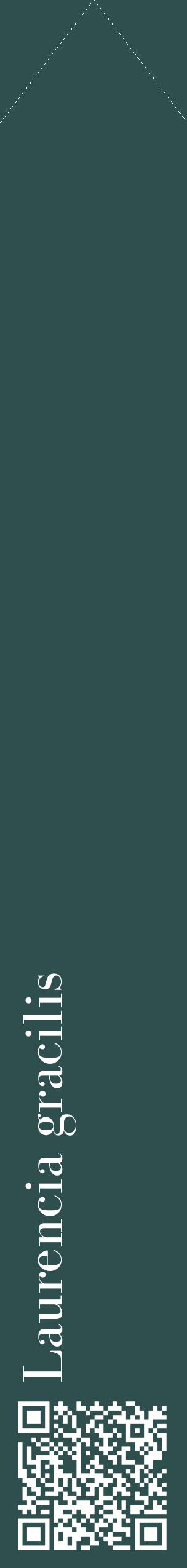 Étiquette de : Laurencia gracilis - format c - style blanche58_simplebod avec qrcode et comestibilité