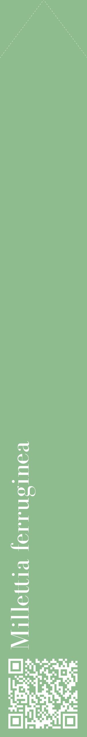 Étiquette de : Millettia ferruginea - format c - style blanche13_simplebod avec qrcode et comestibilité