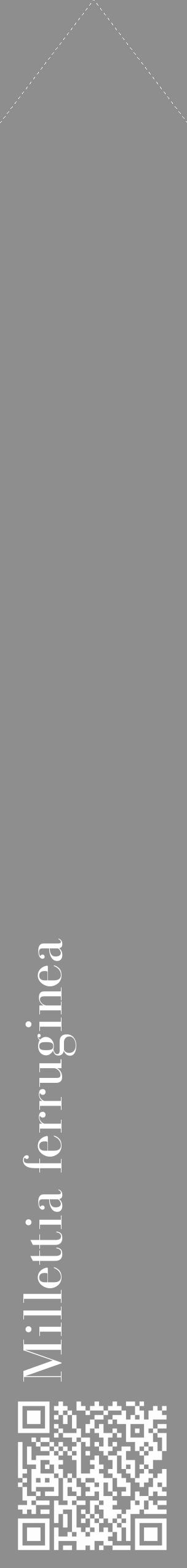 Étiquette de : Millettia ferruginea - format c - style blanche25_simple_simplebod avec qrcode et comestibilité - position verticale