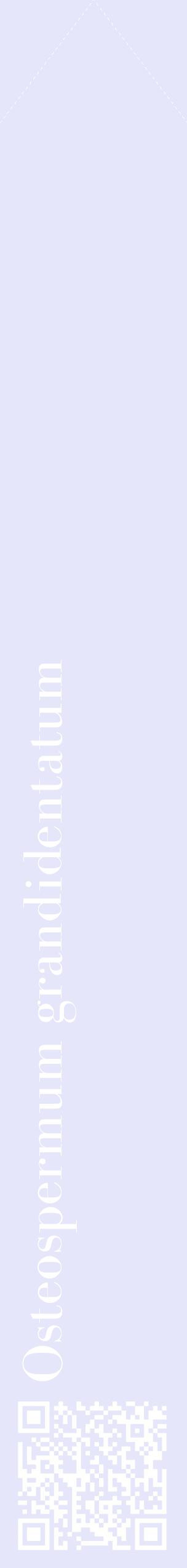 Étiquette de : Osteospermum grandidentatum - format c - style blanche55_simplebod avec qrcode et comestibilité