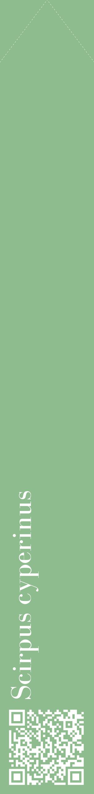 Étiquette de : Scirpus cyperinus - format c - style blanche13_simplebod avec qrcode et comestibilité