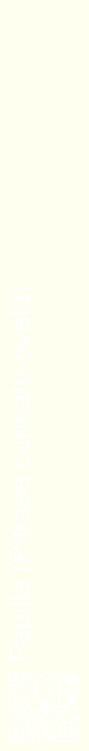 Étiquette de : Pitraea cuneato-ovata - format c - style blanche19_simplehel avec qrcode et comestibilité