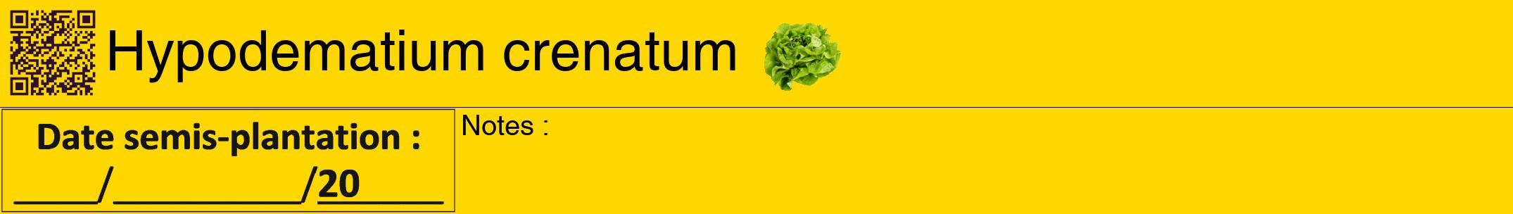 Étiquette de : Hypodematium crenatum - format a - style noire21hel avec qrcode et comestibilité simplifiée