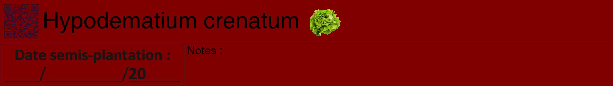 Étiquette de : Hypodematium crenatum - format a - style noire29hel avec qrcode et comestibilité simplifiée