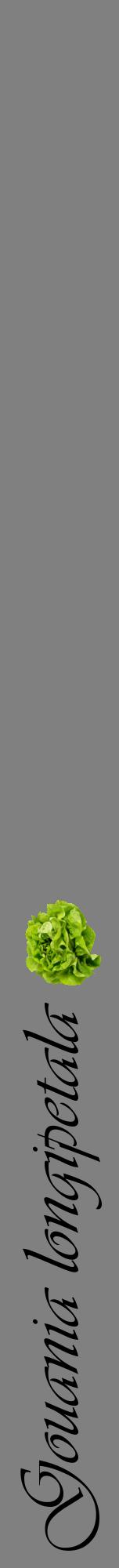 Étiquette de : Gouania longipetala - format a - style noire57viv avec comestibilité simplifiée