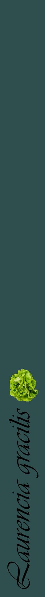 Étiquette de : Laurencia gracilis - format a - style noire58viv avec comestibilité simplifiée