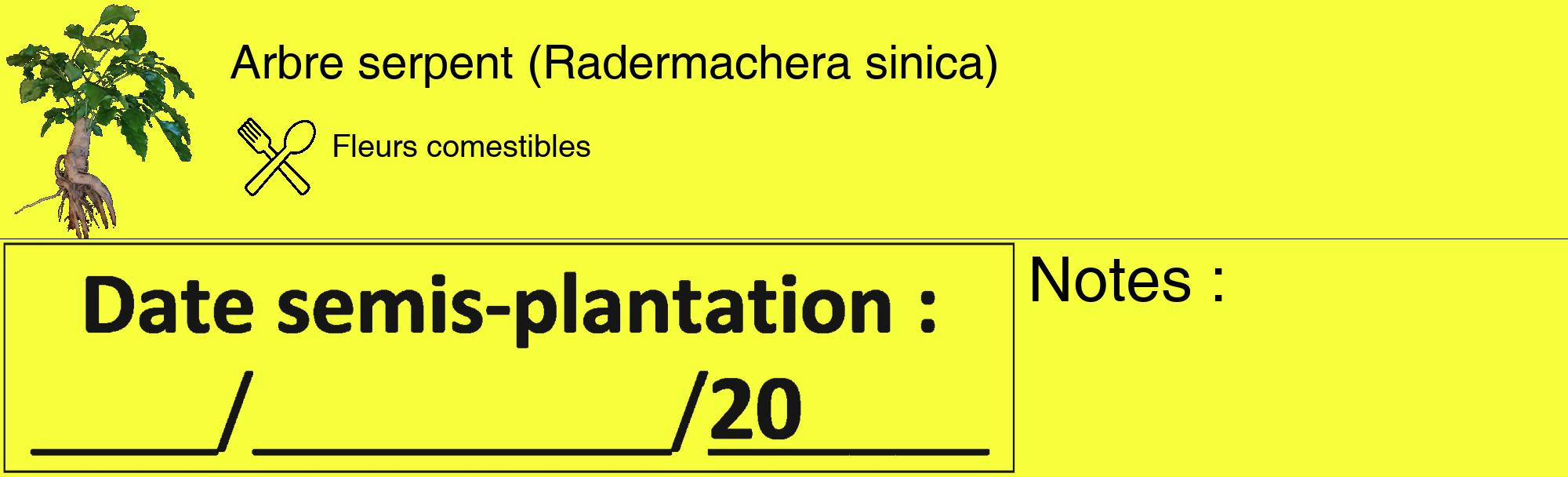 Étiquette de : Radermachera sinica - format c - style noire18_basique_basiquehel avec comestibilité simplifiée