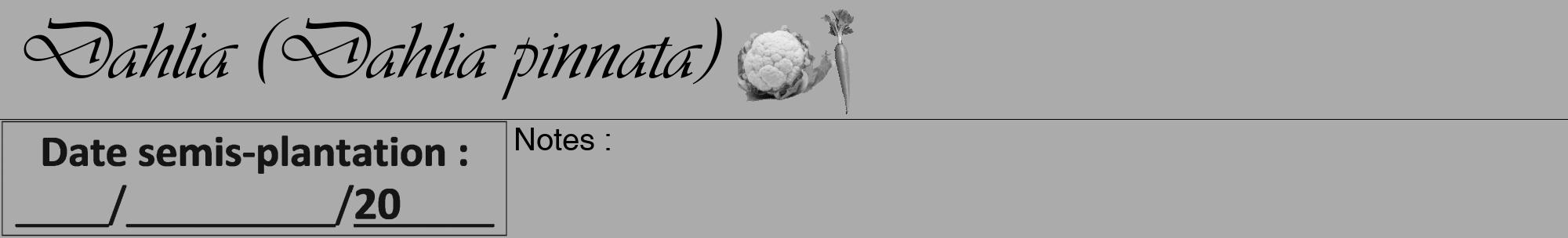 Étiquette de : Dahlia pinnata - format a - style noire37viv avec comestibilité simplifiée