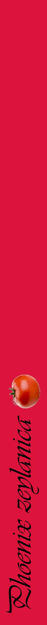 Étiquette de : Phoenix zeylanica - format a - style noire36viv avec comestibilité simplifiée