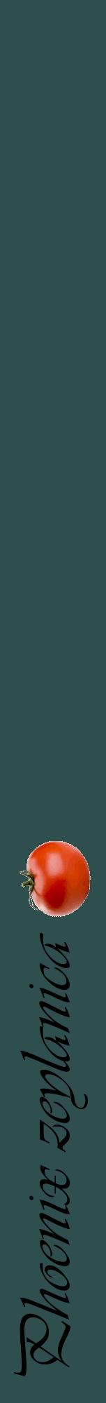 Étiquette de : Phoenix zeylanica - format a - style noire58viv avec comestibilité simplifiée