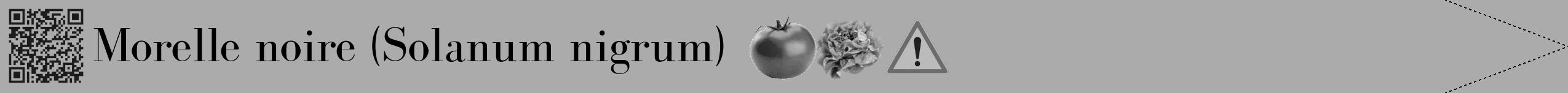 Étiquette de : Solanum nigrum - format b - style noire37bod avec qrcode et comestibilité simplifiée