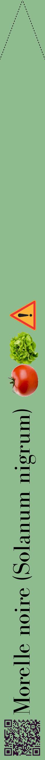 Étiquette de : Solanum nigrum - format b - style noire13bod avec qrcode et comestibilité simplifiée