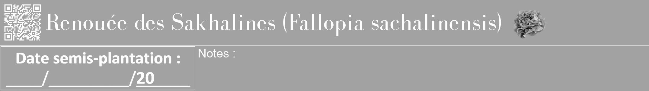 Étiquette de : Fallopia sachalinensis - format a - style blanche38bod avec qrcode et comestibilité simplifiée
