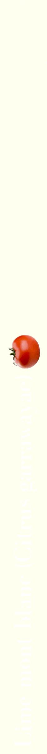 Étiquette de : Citrus garrawayae - format b - style blanche19bod avec comestibilité simplifiée