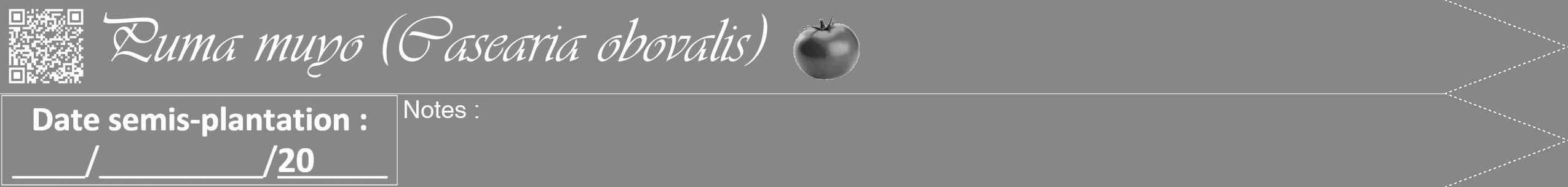 Étiquette de : Casearia obovalis - format b - style blanche12viv avec qrcode et comestibilité simplifiée