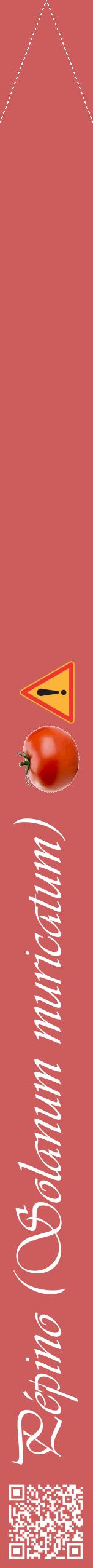 Étiquette de : Solanum muricatum - format b - style blanche35viv avec qrcode et comestibilité simplifiée