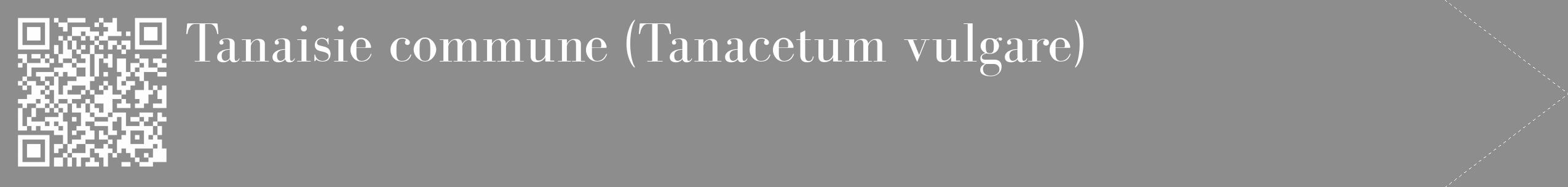 Étiquette de : Tanacetum vulgare - format c - style blanche2_simple_simplebod avec qrcode et comestibilité