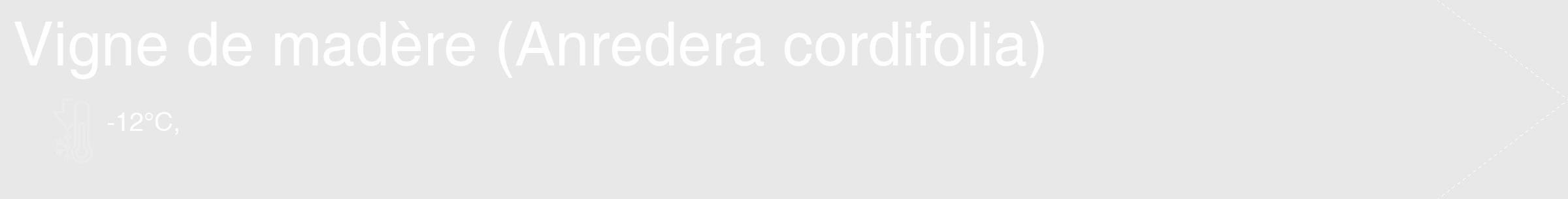 Étiquette de : Anredera cordifolia - format c - style blanche55_simple_simplehel avec comestibilité