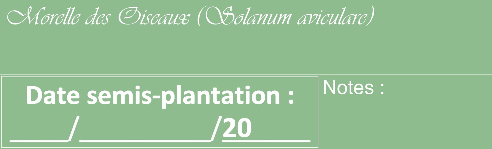 Étiquette de : Solanum aviculare - format c - style blanche13_basique_basiqueviv avec comestibilité