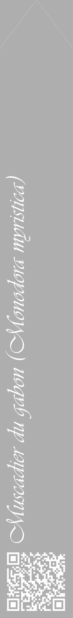 Étiquette de : Monodora myristica - format c - style blanche53_simple_simpleviv avec qrcode et comestibilité - position verticale