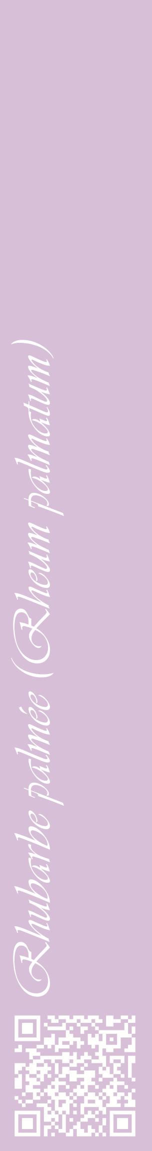 Étiquette de : Rheum palmatum - format c - style blanche54_basiqueviv avec qrcode et comestibilité