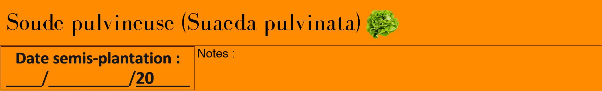 Étiquette de : Suaeda pulvinata - format a - style noire23bod avec comestibilité simplifiée